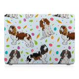 MAC-BDFUNDOG-02